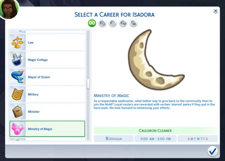 Ministry of Magic Career